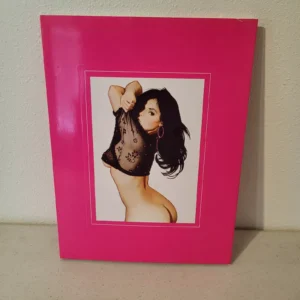 Pin-Up The Illegitimate Art / Jim Silke