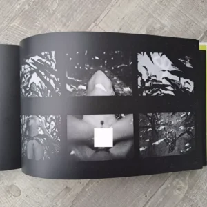 Pornscapes / Pierre Radisic