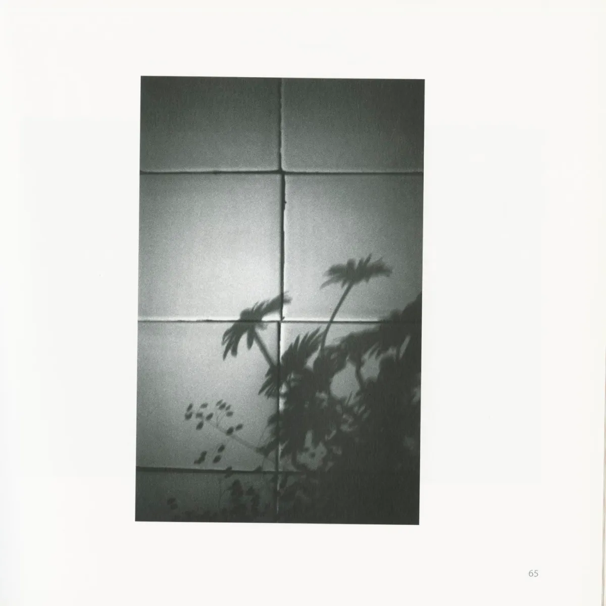 Viktor Trublenkov / Fotografijos (Photographies), 2015 - Image 4