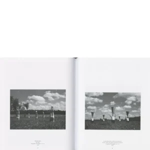 Algis Griškevičius / Tik Sankirtų Aidas, 2024