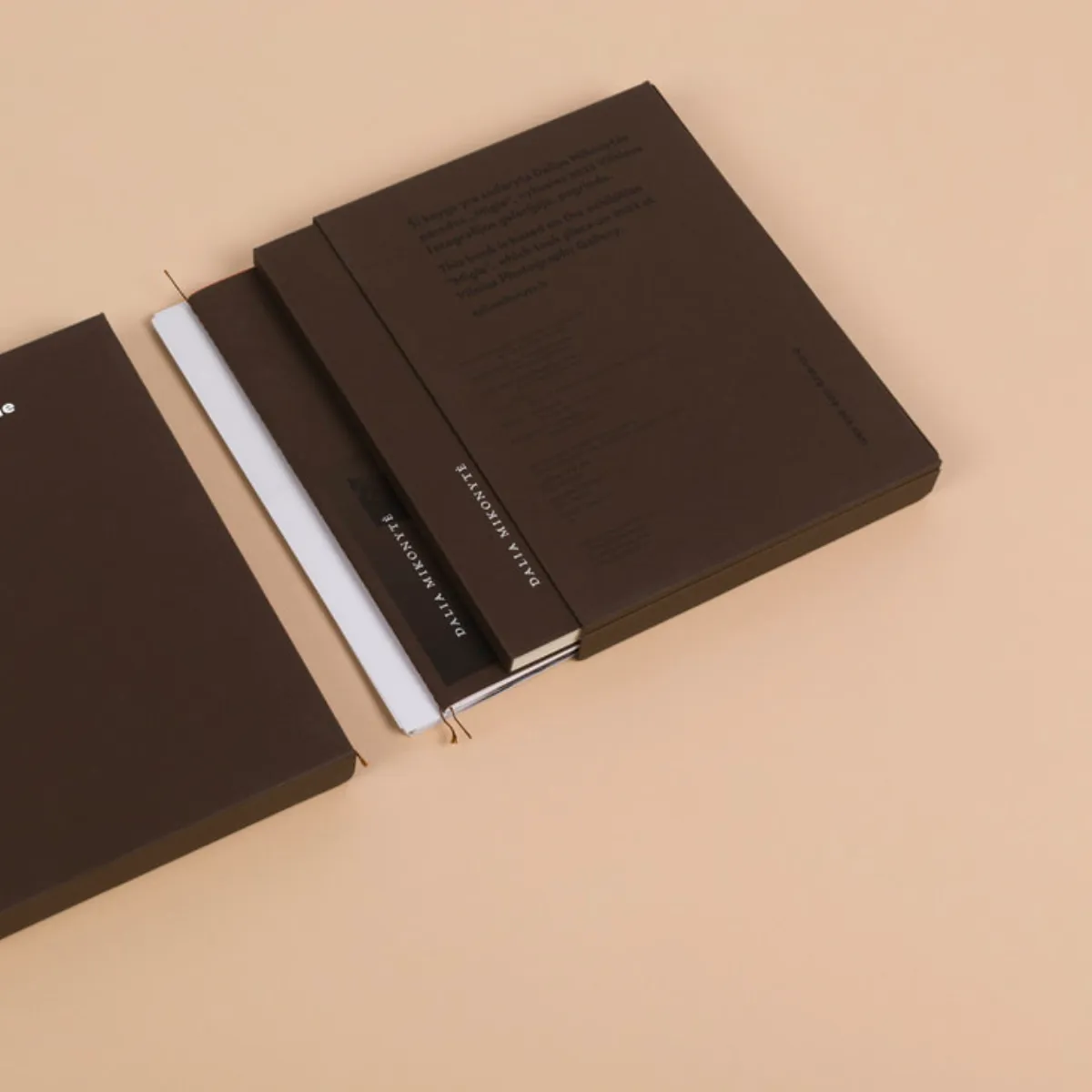 Dalia Mikonytė / Migle, 2024 - Image 8