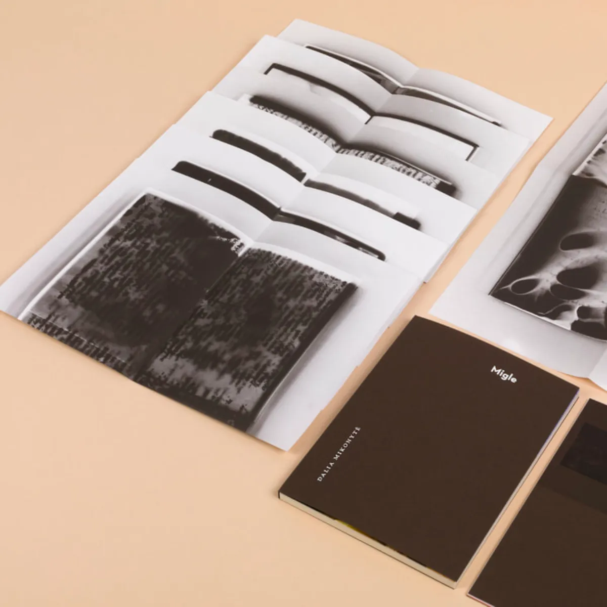 Dalia Mikonytė / Migle, 2024 - Image 7