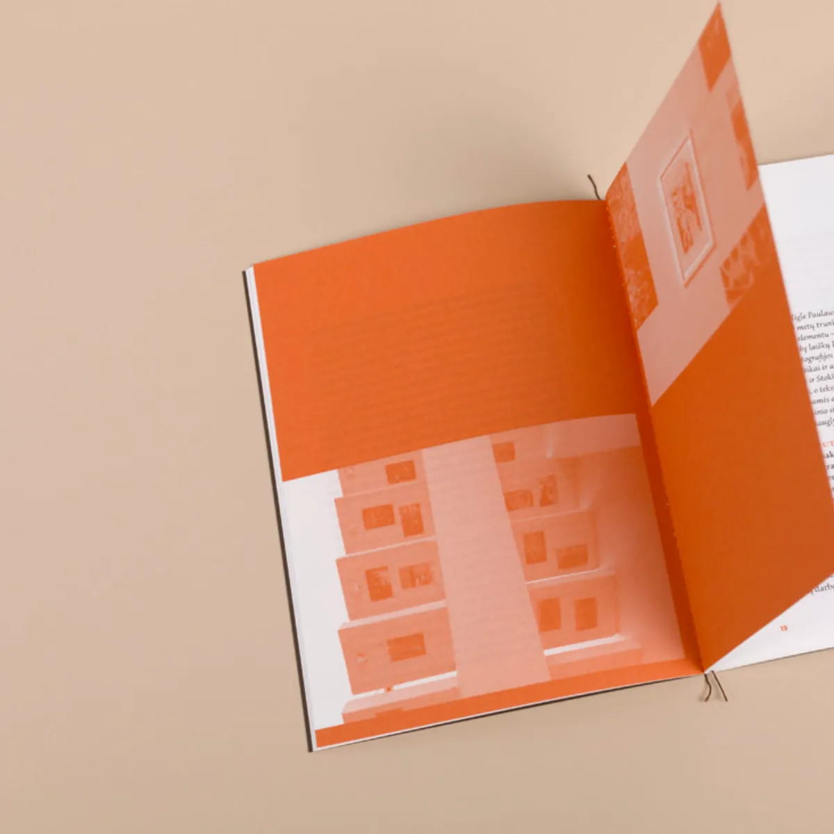 Dalia Mikonytė / Migle, 2024 - Image 6