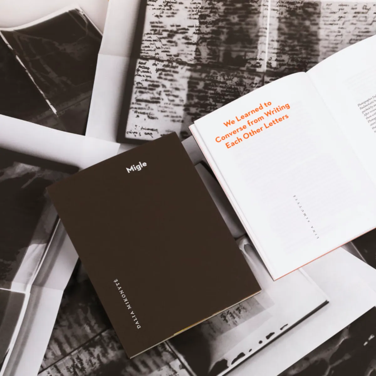 Dalia Mikonytė / Migle, 2024 - Image 3