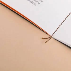 Dalia Mikonytė / Migle, 2024