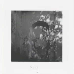 Sigitas Parulskis / Susmulkinta Amžinybė (Chopped up Eternity), 2025