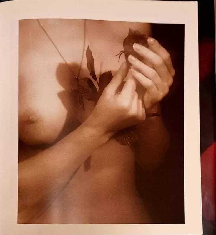 Photo Album Dovana (Gift), 2002