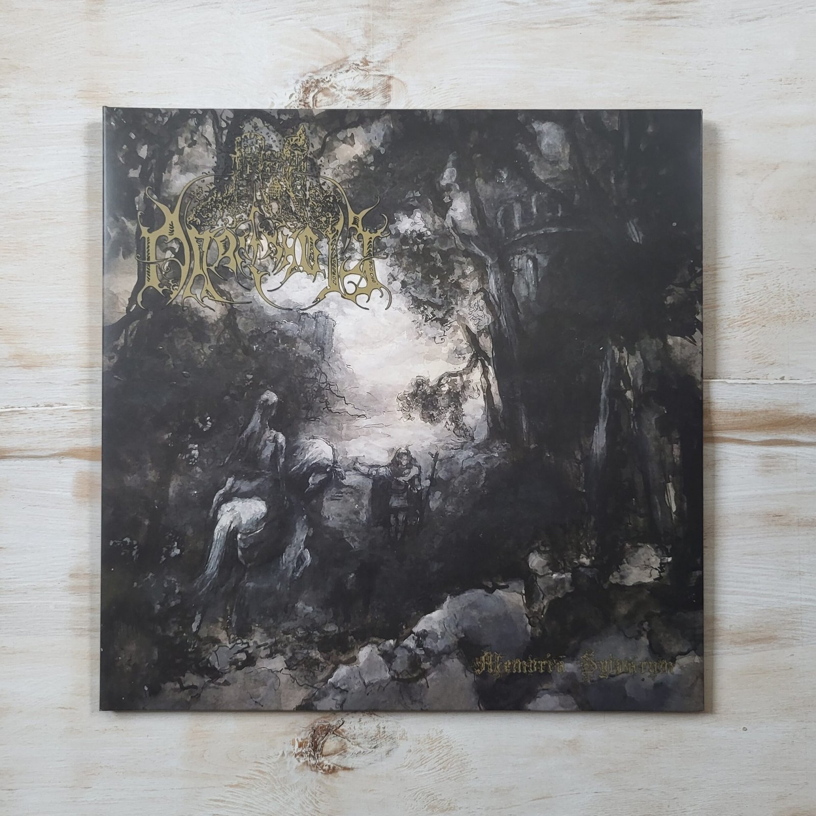 Darkenhöld - Memoria Sylvarum Vinyl Record (Limited Brown LP) – Near Mint Epic Medieval Black Metal - Image 3