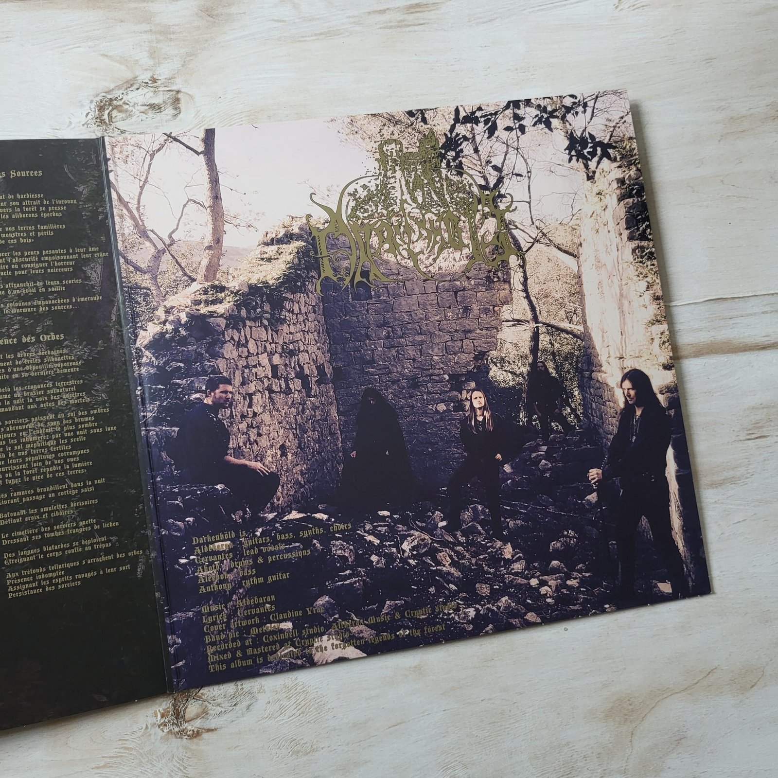 Darkenhöld - Memoria Sylvarum Vinyl Record (Limited Brown LP) – Near Mint Epic Medieval Black Metal - Image 2