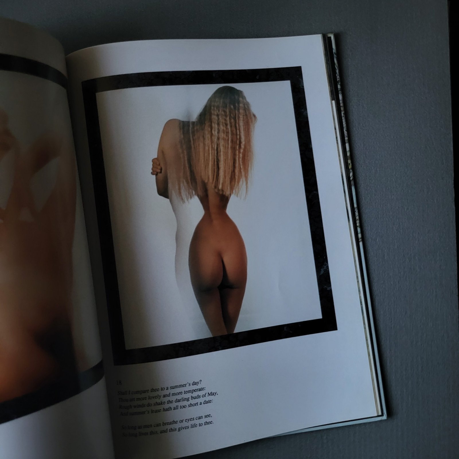 Rare "Cinderella: The Best from Lithuania" Photography Album (1991) – Vintage Baltic Erotica & Art Book - Image 4